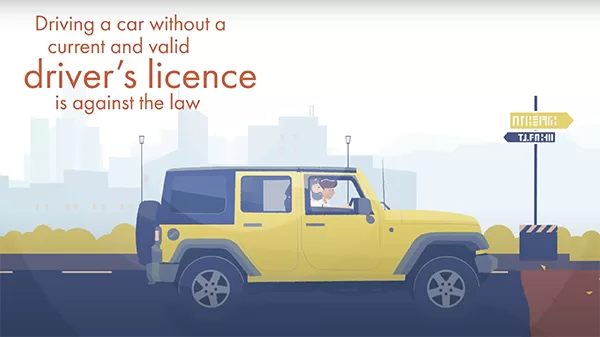 International Driving Permit